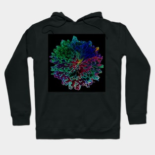 Black Panther Art - Flower Bouquet with Glowing Edges 18 Hoodie